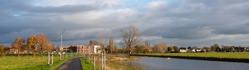 Terrein1