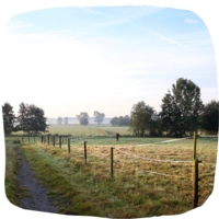 Wandelen in de regio